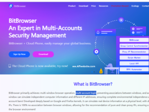 BitBrowser 