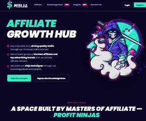 Profit Ninja